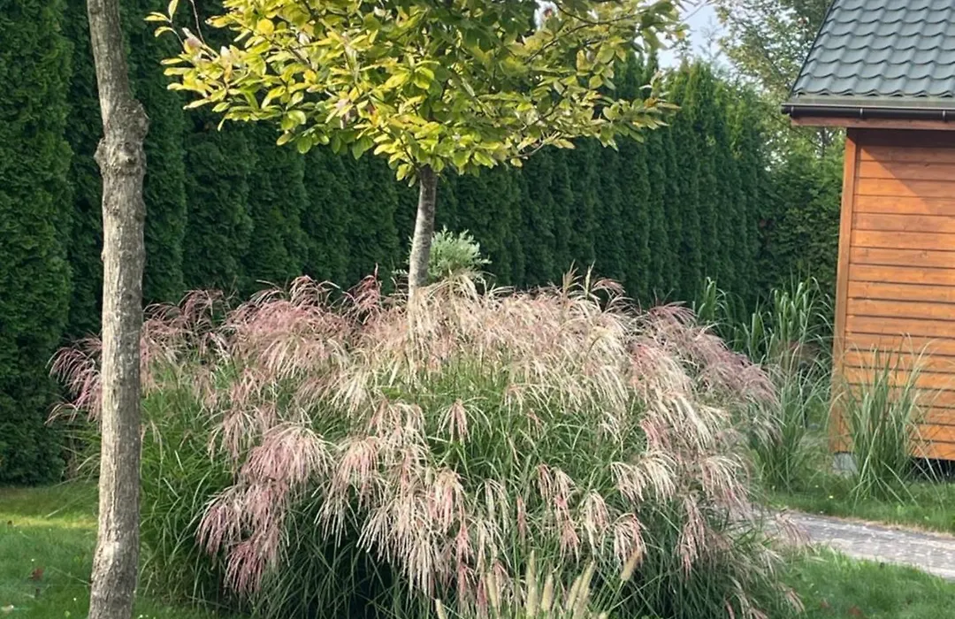 Słoneczna Polana-1